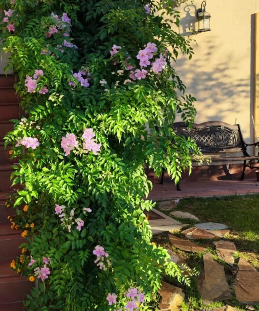 Διαμέρισμα Villa Maria Montecastillo Golf Χέρεζ Ισπανία